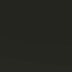 عمرو التميمى